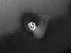 Roefie - Luxe Hondensofa CHIQUE - Zwart - Eco-leer -Huisdier Benodigdheden 1200x899 4