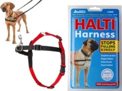 Company Of Animals Halti Harnass - Anti Trektuigje - Hond - Large - Borstomvang Boven De 80 Cm – Zwart 20 Company Of Animals Halti Harnass - Anti Trektuigje - Hond - Large - Borstomvang Boven De 80 Cm – Zwart -Huisdier Benodigdheden 1200x901