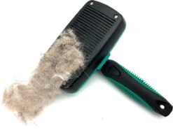 ElegaPet Hondenborstel Groen - Hondenhaar Verwijderen - Kat En Hondenkam - Slickerborstel Hond En Kat - Groomer - Ondervacht Kam Hond - Borstel Hond - Hondenborstel Langharig En Kortharig - Slickerborstel - Anti Klit/Knopen/Huidschilfers -Huisdier Benodigdheden 1200x902