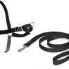 PetSafe Easy Walk® - Hondentuigje - Zwart - M - 51-71 Cm 1 PetSafe Easy Walk® - Hondentuigje - Zwart - M - 51-71 Cm -Huisdier Benodigdheden 1200x904 2