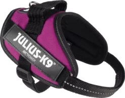 Julius K9 Julius-K9 IDC®Powertuig, XS - Mini-Mini, Donkerroze 15 Julius K9 Julius-K9 IDC®Powertuig, XS - Mini-Mini, Donkerroze -Huisdier Benodigdheden 1200x941