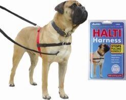 Company Of Animals Halti Harnass Anti Trektuigje - Hond - Small - Borstomvang 30 Tot 60 Cm - Rood -Huisdier Benodigdheden 1200x950 1