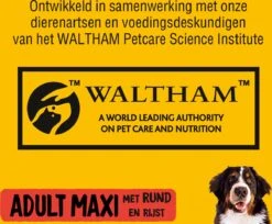 Pedigree Maxi Adult Honden Droogvoer - Rund - 15 Kg -Huisdier Benodigdheden 1200x992 1