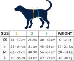 AnnyX Hondentuig - FUN - LIMTED EDITION - Speurtuig - Camouflage - Legergroen - Maat S - Borstomvang 52-64cm - Gewicht Hond 9 -19 Kg - My K9 -Huisdier Benodigdheden 1200x995 3