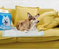 Nobleza 48LXE - Puppy Training Pads - 60 X 90 Cm - Zindelijkheidstraining - 120 Stuks -Huisdier Benodigdheden 1200x997 1