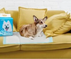 Nobleza 48LXB - Puppy Training Pads - 60 X 90 Cm - Zindelijkheidstraining - 100 Stuks 14 Nobleza 48LXB - Puppy Training Pads - 60 X 90 Cm - Zindelijkheidstraining - 100 Stuks -Huisdier Benodigdheden 1200x997 3