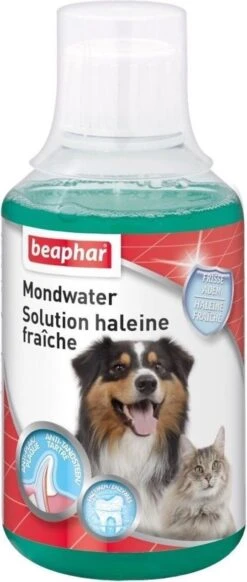 Beaphar Mondwater - 250 Ml 12 Beaphar Mondwater - 250 Ml -Huisdier Benodigdheden 509x1200
