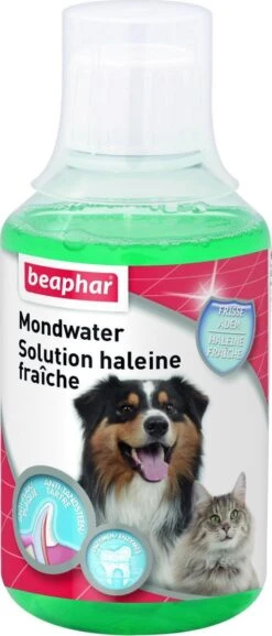 Beaphar Mondwater - 250 Ml 11 Beaphar Mondwater - 250 Ml -Huisdier Benodigdheden 513x1200