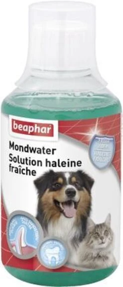 Beaphar Mondwater - 250 Ml 15 Beaphar Mondwater - 250 Ml -Huisdier Benodigdheden 515x1200