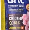 Brit Premium By Nature Hondenvoer Junior M 15 Kg - Hond 2 Brit Premium By Nature Hondenvoer Junior M 15 Kg - Hond -Huisdier Benodigdheden 551x1200