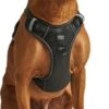 Hondentuigje - Anti-Trek Tuig - Hondenharnas - Y Tuig Hond - Reflecterend - Zwart - Maat L -Huisdier Benodigdheden 564x1200
