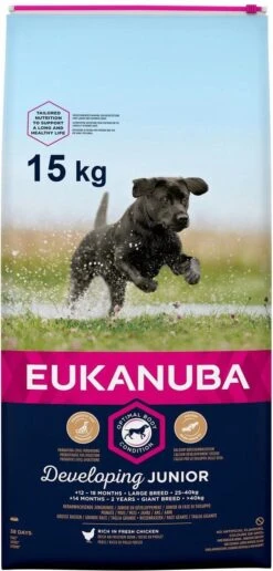 Eukanuba Developing Junior Large Breed Kip - Hondenvoer - 15 Kg -Huisdier Benodigdheden 574x1200