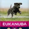 Eukanuba Developing Junior Large Breed Kip - Hondenvoer - 15 Kg -Huisdier Benodigdheden 577x1200