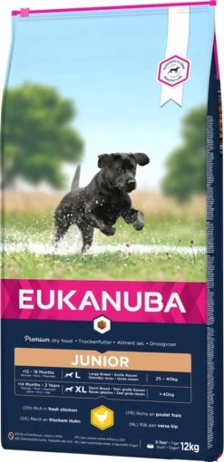 Eukanuba Developing Junior Large Breed Kip - Hondenvoer - 15 Kg -Huisdier Benodigdheden 581x1200 2