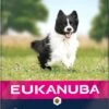 Eukanuba Dog Adult Small/Medium Breed Lamb / Rice - 12 KG 2 Eukanuba Dog Adult Small/Medium Breed Lamb / Rice - 12 KG -Huisdier Benodigdheden 619x1200 3