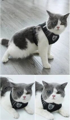 Zavelo® Honden Tuigje - Puppy En Kattentuigje - Hondenharnas - Reflecterend - Incl. Bijpassend Riempje - Zwart-Maat: S -Huisdier Benodigdheden 703x1200