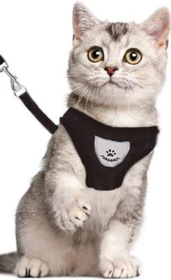 Luxyana® Hondentuigje - S - 28-32cm - Geschikt Voor Kleine Honden En Als Kattenharnas - Easy Step-in Hondentuigje Voor De Kleine Hond Of Kat - Inclusief Bijpassend Riempje - Zwart -Huisdier Benodigdheden 735x1200 1