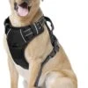 Hondentuig - Hondenharnas - Hondenriem - Anti Trek - Autogordel Hond - Zwart - Maat S -Huisdier Benodigdheden 747x1200 1
