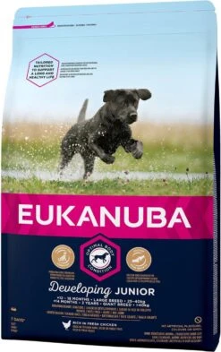 Eukanuba Developing Junior Large Breed Kip - Hondenvoer - 15 Kg -Huisdier Benodigdheden 755x1200
