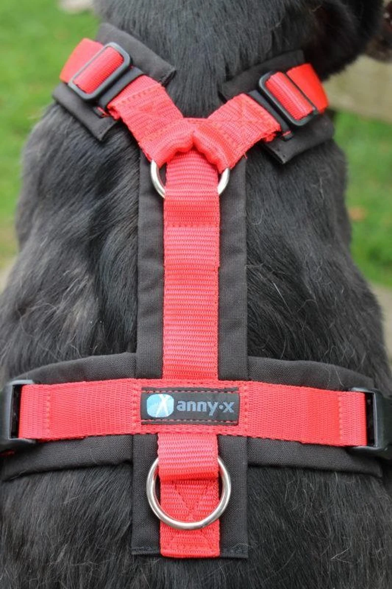 Annyx Hondentuig Harnas Zwart Rood - Y Model - Maat S Is Geschikt Voor Borstomvang 52-64cm. 5 Annyx Hondentuig Harnas Zwart Rood - Y Model - Maat S Is Geschikt Voor Borstomvang 52-64cm. - Afbeelding 3