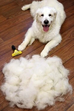 Furminator® Hond Langhaar - Vermindert Haaruitval Tot 90% - Hondenborstel - L -Huisdier Benodigdheden 800x1200