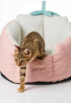 PETKIT® Strawberry Mand – Hondenmand – Kattenmand – Roze -Huisdier Benodigdheden 823x1200 1