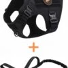Always Prepared © Pro K9 Tuig + Riem – Anti Trek Tuig – Honden Harnas – Y Tuig Hond – Tactical Hondenvest – Best Getest 2022 – Tuigje Hond – Middel En Grote Hond – Honden Tuigje – Harnas Hond – Veiligheidstuig – 450KG Anti Trek Test – Zwart Maat S -Huisdier Benodigdheden 844x1200