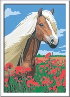 Ravensburger Schilder Op Nummer 3in1 Set Dieren -Huisdier Benodigdheden 868x1200 5