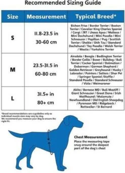 Company Of Animals Halti Harnass - Anti Trektuigje - Hond - Large - Borstomvang Boven De 80 Cm – Zwart 18 Company Of Animals Halti Harnass - Anti Trektuigje - Hond - Large - Borstomvang Boven De 80 Cm – Zwart -Huisdier Benodigdheden 869x1200 3