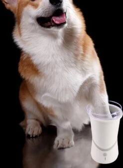 Hondenpoten Reiniger - Wasser - Hond – Pet Paw Washer – Hondenborstel – Honden Borstel - Verzorging -Huisdier Benodigdheden 884x1200