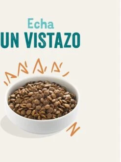 Edgard & Cooper Verse Scharrelkip Adult - Hondenvoer - 7kg -Huisdier Benodigdheden 900x1200 12