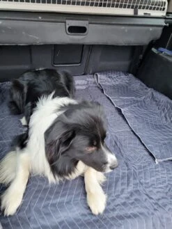 Luxe Hondendeken 200 X 150 Cm Auto Achterbank Kofferbak Vuilafstotend & Beschermend 8 Luxe Hondendeken 200 X 150 Cm Auto Achterbank Kofferbak Vuilafstotend & Beschermend -Huisdier Benodigdheden 900x1200 21