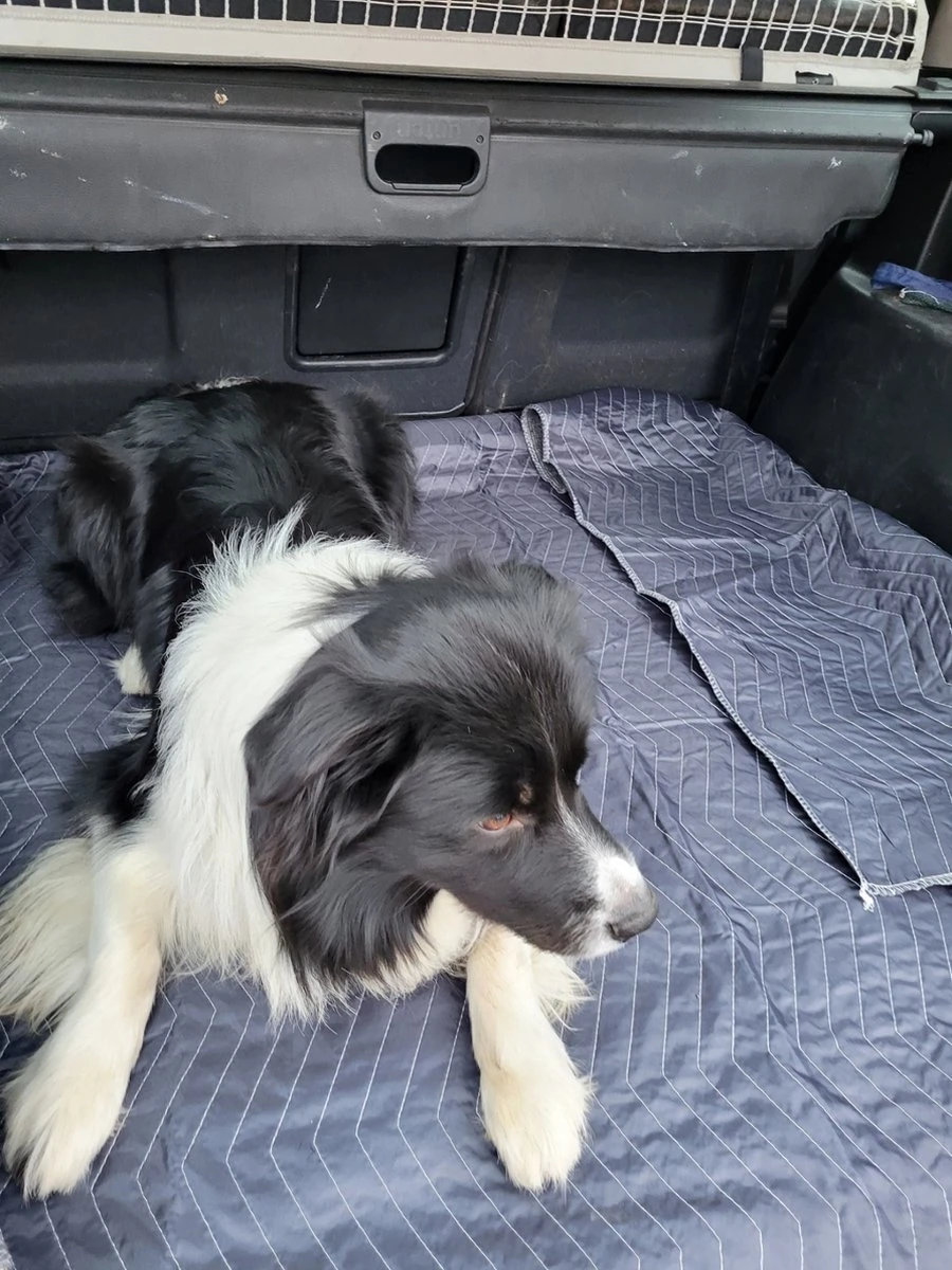 Luxe Hondendeken 200 X 150 Cm Auto Achterbank Kofferbak Vuilafstotend & Beschermend 5 Luxe Hondendeken 200 X 150 Cm Auto Achterbank Kofferbak Vuilafstotend & Beschermend - Afbeelding 3