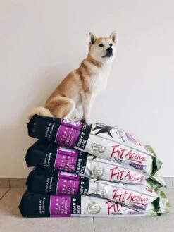 Fit Active Everyday Premium – Hondenvoer Voor Volwassen Honden Van Middelgrote Tot Grote Rassen - Premium Hondenbrokken Op Basis Van Kip/rund Smaak - 15kg 10 Fit Active Everyday Premium – Hondenvoer Voor Volwassen Honden Van Middelgrote Tot Grote Rassen - Premium Hondenbrokken Op Basis Van Kip/rund Smaak - 15kg -Huisdier Benodigdheden 900x1200 9