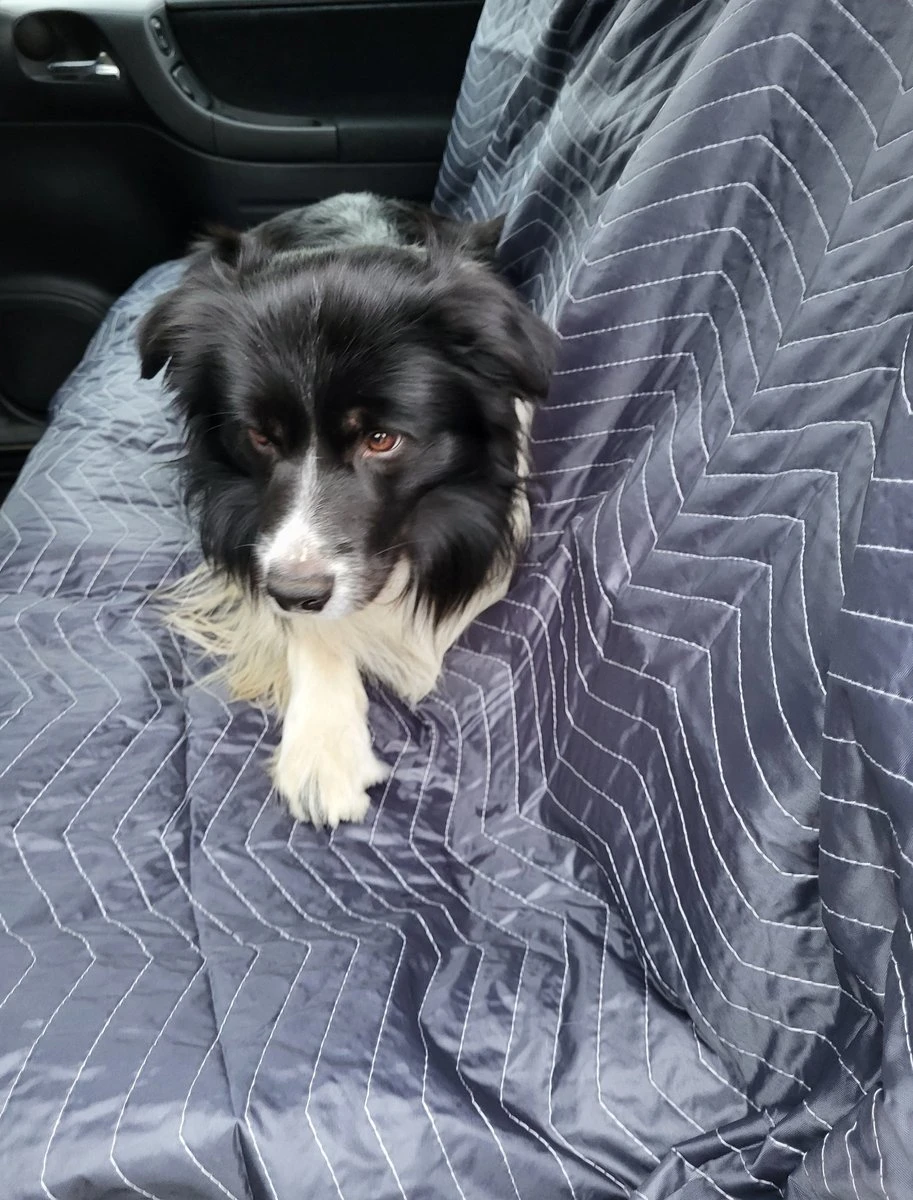 Luxe Hondendeken 200 X 150 Cm Auto Achterbank Kofferbak Vuilafstotend & Beschermend 3 Luxe Hondendeken 200 X 150 Cm Auto Achterbank Kofferbak Vuilafstotend & Beschermend