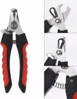Nagelschaar Voor Dieren- Nagelknipper- Kat- Hond- Vogel Nagelschaartje - Huisdieren - Nail Clipper- Nail Cutter -Huisdier Benodigdheden 938x1200