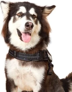 Woofy Hondentuig - Anti Trek - Hondenharnas - Reflecterend - Verstelbaar -Huisdier Benodigdheden 943x1200