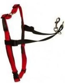Company Of Animals Halti Harnass Anti Trektuigje - Hond - Small - Borstomvang 30 Tot 60 Cm - Rood -Huisdier Benodigdheden 945x1200