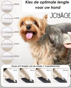 Joyage Professionele Hondentondeuse Voor Dikke Vacht – Honden Tondeuse & Hondentrimmer Tondeuse – Stille Tondeuse Katten & Honden Trimset Lang Haar – Trimmer Hond - Hondentondeuse Draadloos - Tondeuse Voor Honden - Tondeuse Hond Dikke Vacht -Huisdier Benodigdheden 962x1200 1