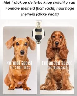 Joyage Professionele Hondentondeuse Voor Dikke Vacht – Honden Tondeuse & Hondentrimmer Tondeuse – Stille Tondeuse Katten & Honden Trimset Lang Haar – Trimmer Hond - Hondentondeuse Draadloos - Tondeuse Voor Honden - Tondeuse Hond Dikke Vacht -Huisdier Benodigdheden 962x1200 2