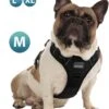 Hondentuigje Medium – Hondenharnas - Anti Trek Tuig Hond – Y Tuig – Reflecterend – Zwart – Maat M 1 Hondentuigje Medium – Hondenharnas - Anti Trek Tuig Hond – Y Tuig – Reflecterend – Zwart – Maat M -Huisdier Benodigdheden 977x1200