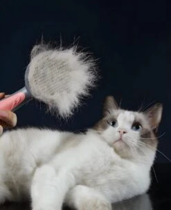 Pakeway T9 - Kattenborstel - Zelfreinigende Kattenkam - Roze - Massageborstel - 19,3 Cm -Huisdier Benodigdheden 983x1200