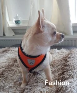 Luxyana® Hondentuigje - S - 28-32cm - Geschikt Voor Kleine Honden En Als Kattenharnas - Easy Step-in Hondentuigje Voor De Kleine Hond Of Kat - Inclusief Bijpassend Riempje - Zwart -Huisdier Benodigdheden 992x1200 1